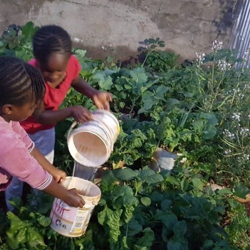 Empowerment has no age limit